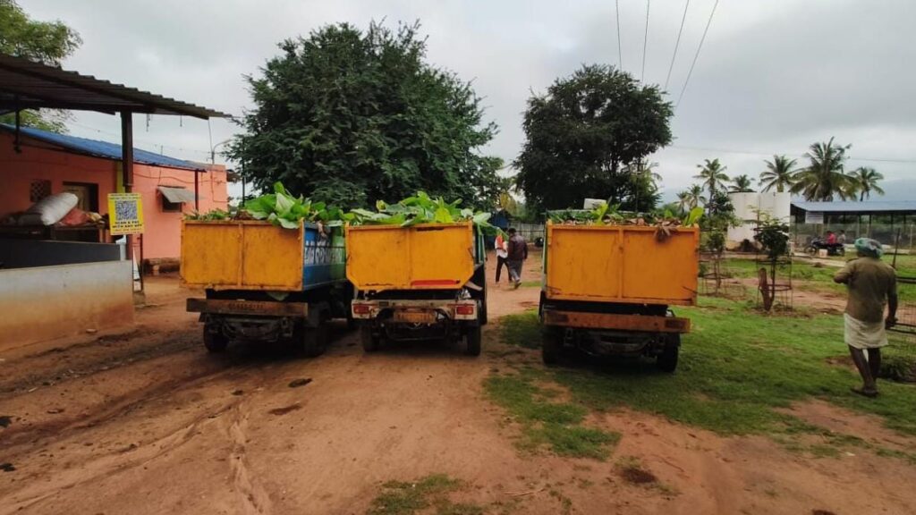 Arasikere Municipal Council staff at work on the innovative garbage segregation, disposal and cow-feeding project.