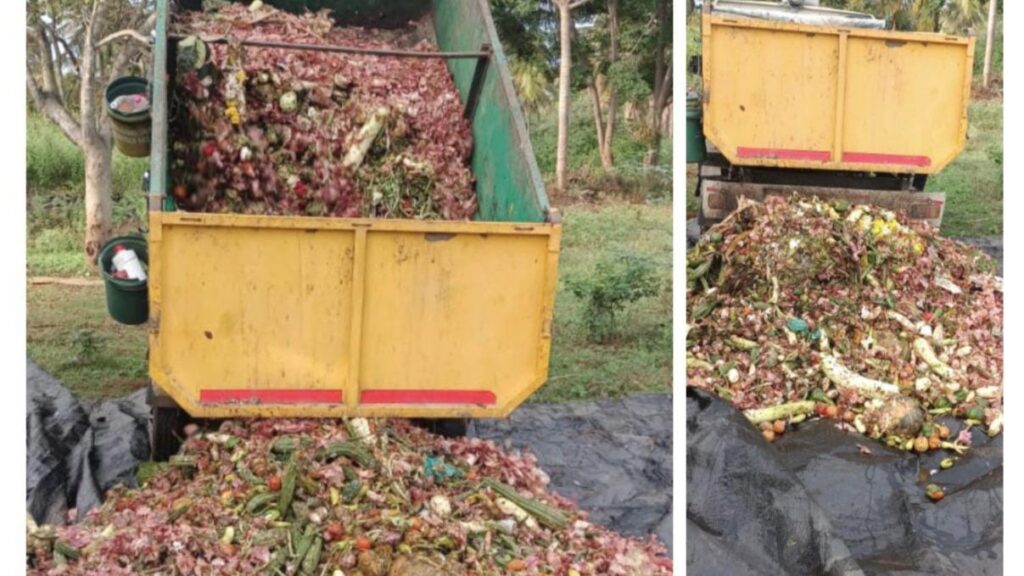 Arasikere Municipal Council staff at work on the innovative garbage segregation, disposal and cow-feeding project.