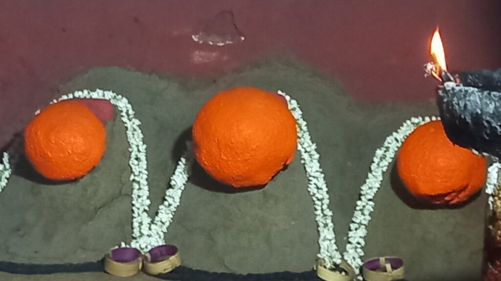 Visuals of Maa Hassanamba captured from inside the shrine on the first day of darshan.