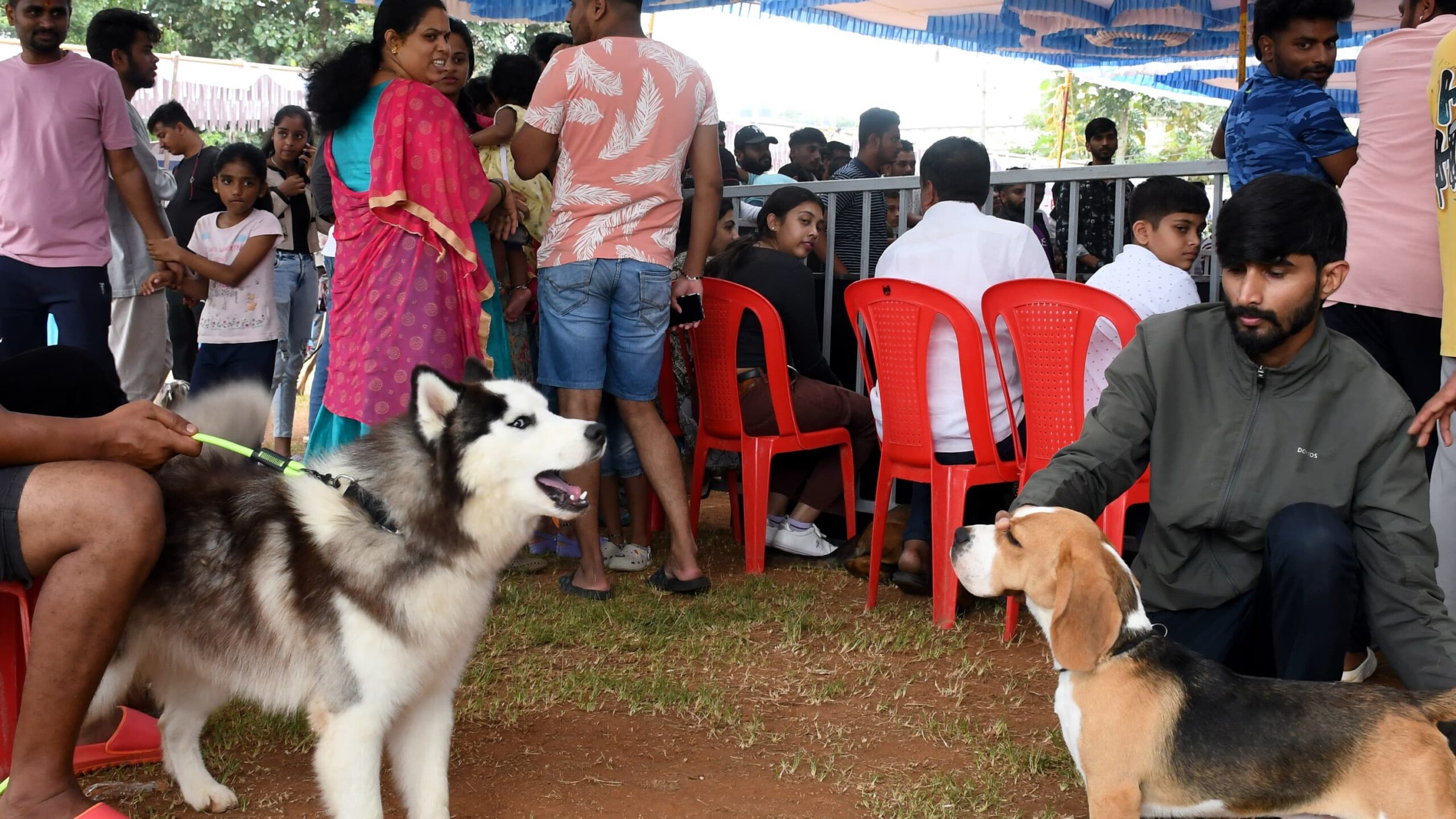 Visuals from the fifth dog show organised by the Kennel Club of Hassan on Monday.