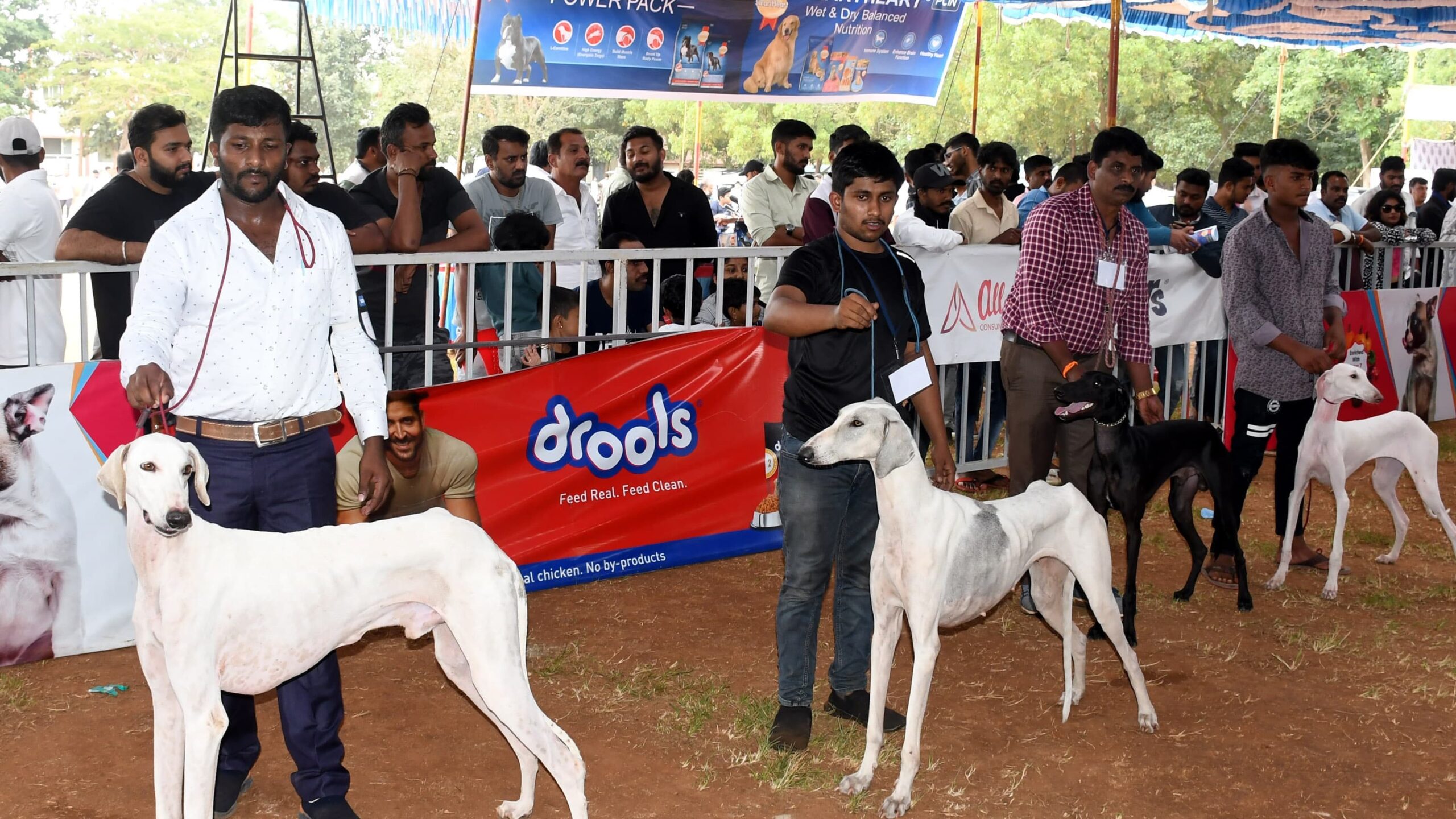 Visuals from the fifth dog show organised by the Kennel Club of Hassan on Monday.